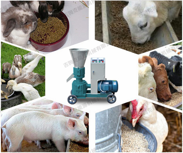 飼料顆粒機B型 飼料顆粒機B型